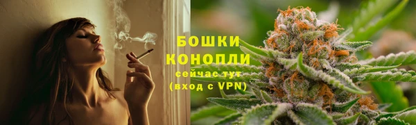 метадон Богданович